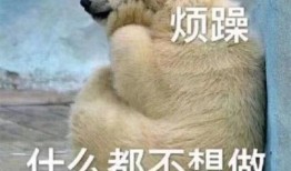 晚安吃瓜群众图片大全