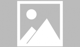 明星吃瓜求婚视频,意外求婚浪漫升级