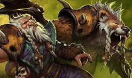 驴哥吃瓜德鲁伊,揭秘德鲁伊的神秘面纱