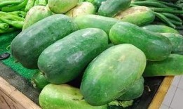 瓜吃瓜睡,吃瓜、睡觉，享受悠闲时光