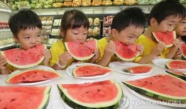 幼儿吃兰瓜行吗,幼儿食用兰瓜的安全性探讨