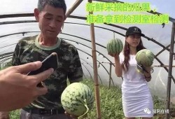 天真吃瓜群众直播,天真吃瓜群众带你领略直播界的欢乐与疯狂