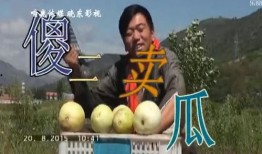 傻二吃瓜,揭秘娱乐圈那些不为人知的幕后故事