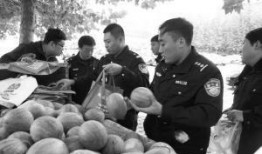 公安吃瓜,网络舆论场中的监督与反思