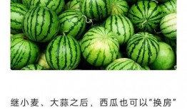 网课在线吃瓜,在线“吃瓜”成潮流